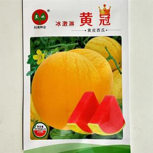 冰淇淋黄冠早熟礼品西瓜种子高糖红瓤西瓜种子黄皮瓜皮薄入口即化