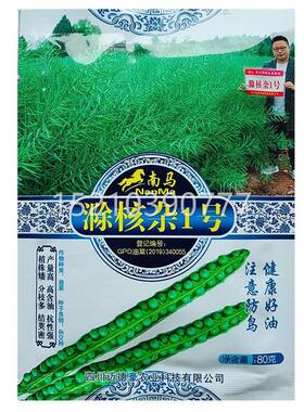 秦2号油矮JDN菜花种子高产菜种油子榨油油菜籽杆中油耐寒优质油菜