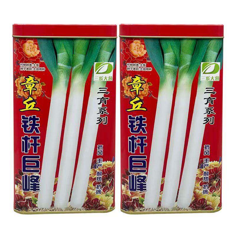 正宗山东章丘大葱种子铁杆大梧桐五叶齐蔬菜种子四季葱子种籽包邮