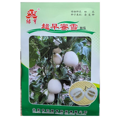 超早蜜雪甜瓜种子早熟薄皮白梨瓜香瓜耐低温易坐果抗病性好甜瓜籽