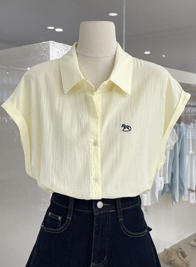 夏日清新氧气感刺绣飞飞袖衬衫