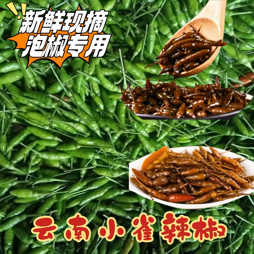 云南小雀辣椒新鲜现摘魔鬼小米辣