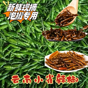 云南小雀辣椒新鲜现摘小米辣批发