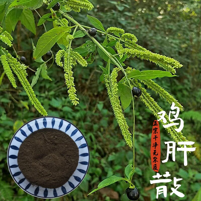 云南鸡肝散干货黑头草细野菝子滇香薷四方蒿四棱蒿中药材炖蛋炖肉