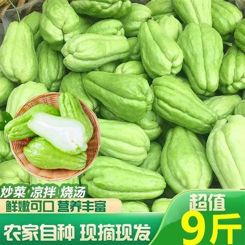 云南佛手瓜新鲜现摘洋丝瓜丰收瓜