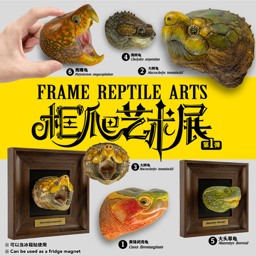 【定金预售】动物星云 框爬艺术展系列第一弹  手办 模型