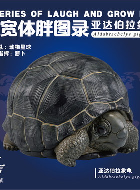 动物星球现货心宽体胖模型