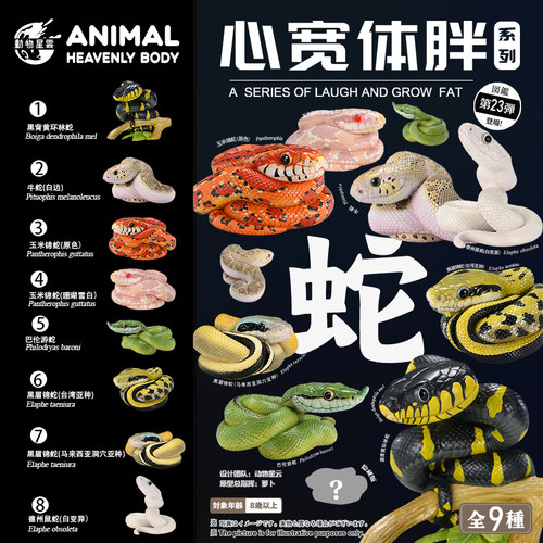 爆款！！！动物星云 心宽体胖系列23弹一蛇3.0 手办 模型