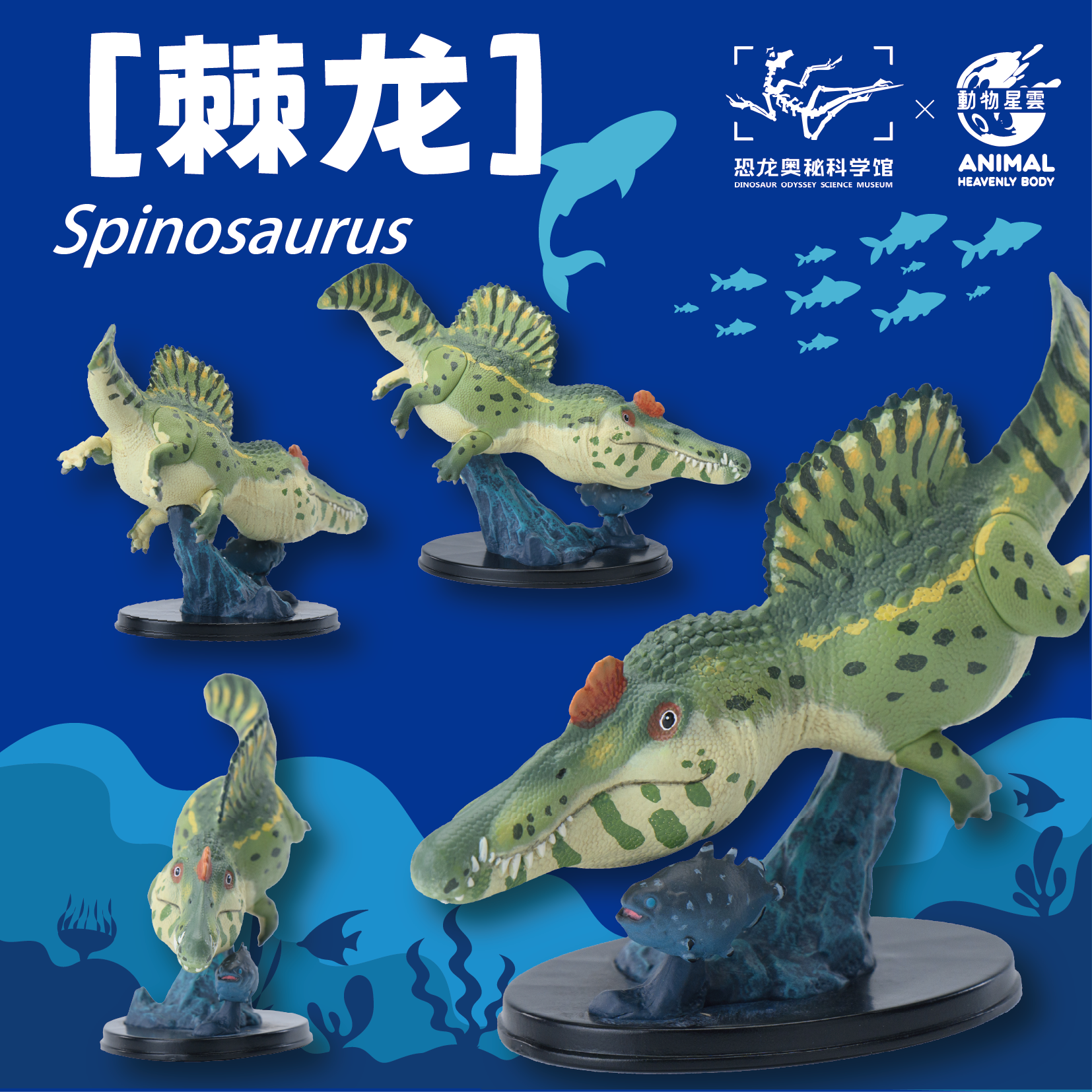 预售重庆自然博物馆永川龙