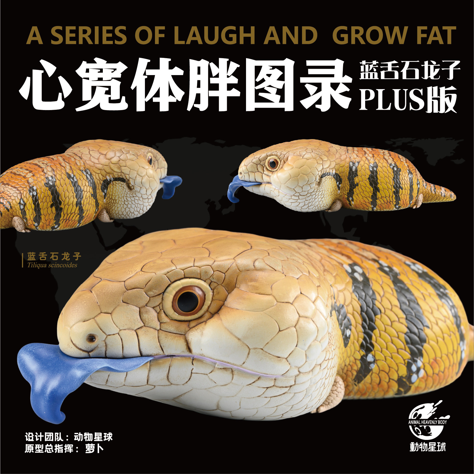 动物星云 心宽体胖系列 蓝舌石龙子PLUS版  手办 模型