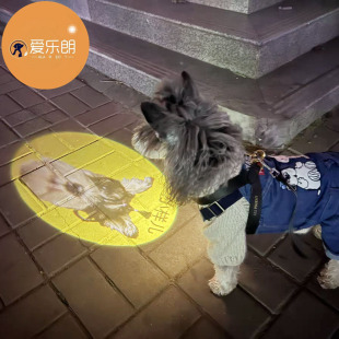 宠物社交灯 现货 宠物挂牌LED 夜溜神器定制狗狗投影 狗狗社牛灯