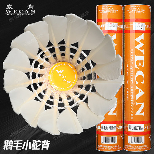 橙威肯反洗鹅毛小驼背突出耐打