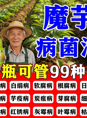 魔芋专用药杀菌消毒软腐白绢防治根茎腐烂叶片枯黄微生物光合细菌