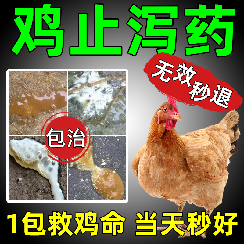 鸡拉稀拉白便专用药特效药禽一片鸡病全治养鸡水便红黄痢疾流感药