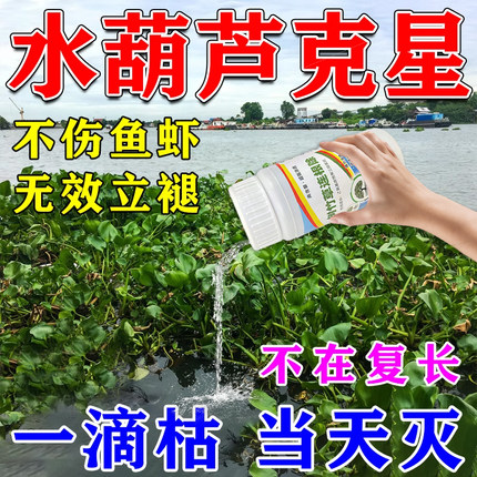 水葫芦清理神器浮萍一扫光鱼池除藻去苔剂水花生克星革命草烂根剂