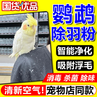 鹦鹉羽粉净化器宠物空气吸浮毛羽粉尘玄凤养专用舍信鸽子小鸟笼窝
