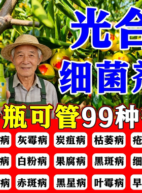 光合细菌菌剂徽生物PSB家庭园艺绿植树专用枣疯番茄病毒病害防治