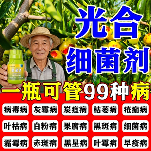 光合细菌菌剂徽生物PSB家庭园艺绿植树专用枣疯番茄病毒病害防治