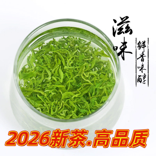 板栗香绿茶日照袋装特级500克