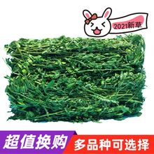 2021新草 兔子紫花苜蓿草干草幼兔粮龙猫垂耳兔草兔粮豚鼠饲料1kg