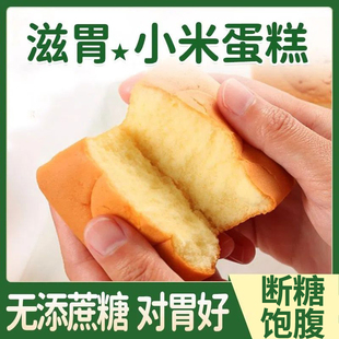 糖尿病人吃 旗舰店血糖高糖友食品控糖主食无糖精解馋专用小零食