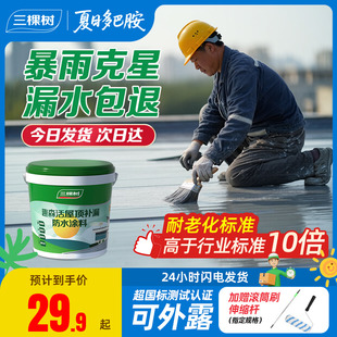 三棵樹屋頂防水補(bǔ)漏材料房頂樓頂裂縫涂料漏水滲水膠外墻堵漏王