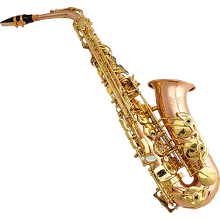 Bastet百斯特中音萨克斯风管乐器BAS-659初学者降e调磷铜考级演奏