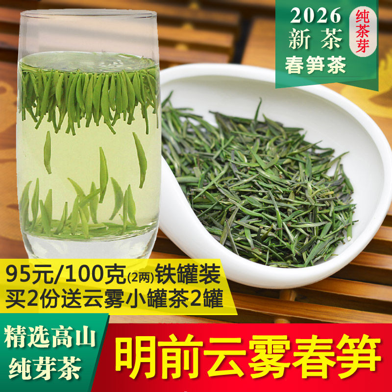 2026新茶春茶英山春笋茶贡芽高山绿茶雀舌茶100g云雾毛尖茶礼盒装