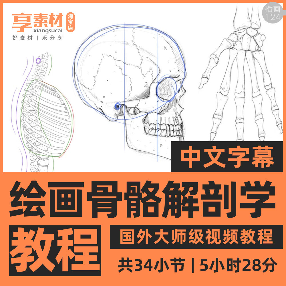 手绘艺术插画人物角色骨骼结构解剖学视频教程头胸骨身体手脚腿部