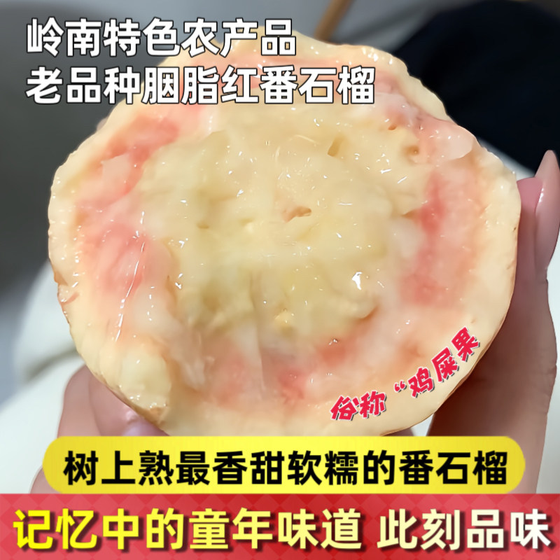 广州增城胭脂红芭乐树上熟红心番石榴粉嫩软糯香甜鸡屎果孕妇顺丰