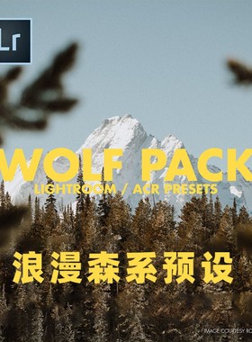 LR预设-浪漫美丽森系肤色绿色泥土艺术色调旅行婚礼肖像调色wolf