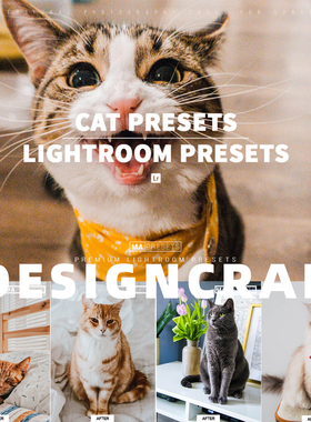 Lightroom预设宠物猫狗室内明亮LUTs达芬奇PR/FCPX手机版LR滤镜PS