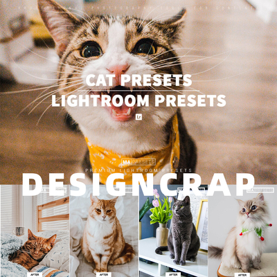 Lightroom预设宠物猫狗室内明亮LUTs达芬奇PR/FCPX手机版LR滤镜PS