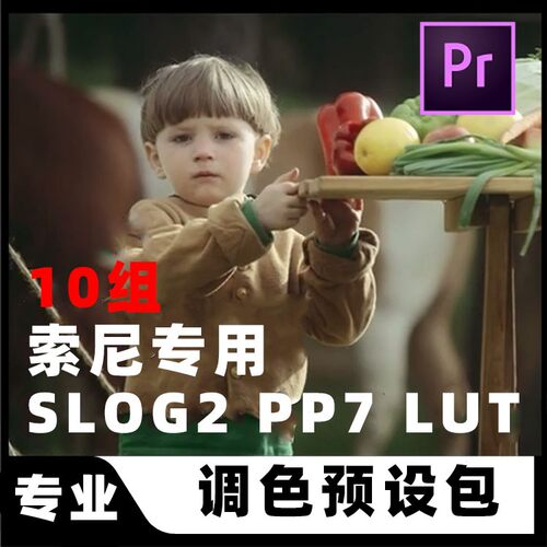 索尼SONY专用S-LOG2电影级调色滤镜预设包A7S PP7油管网红LUTS