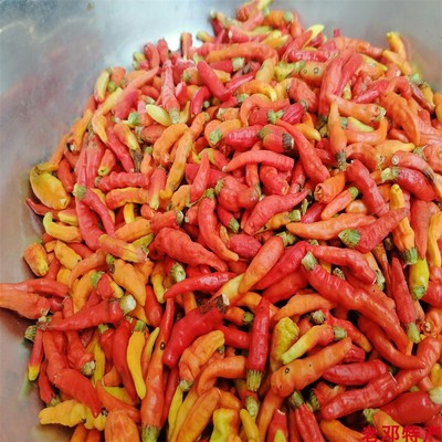 霸王辣椒酱纯手工南雄特产