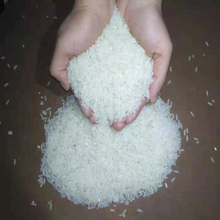 南雄米香占丝苗米稻香米无抛光米香粘油粘米长粒香米韶关新米5KG