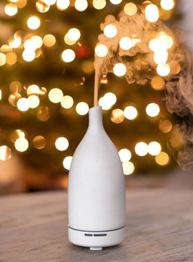 加拿大代购Saje莎爵多款精油香薰机精油机超声波加湿器节日礼盒