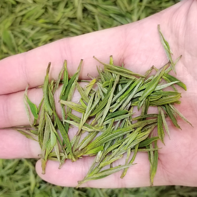 2025年新茶安吉明前白茶高山茶叶简包装250g