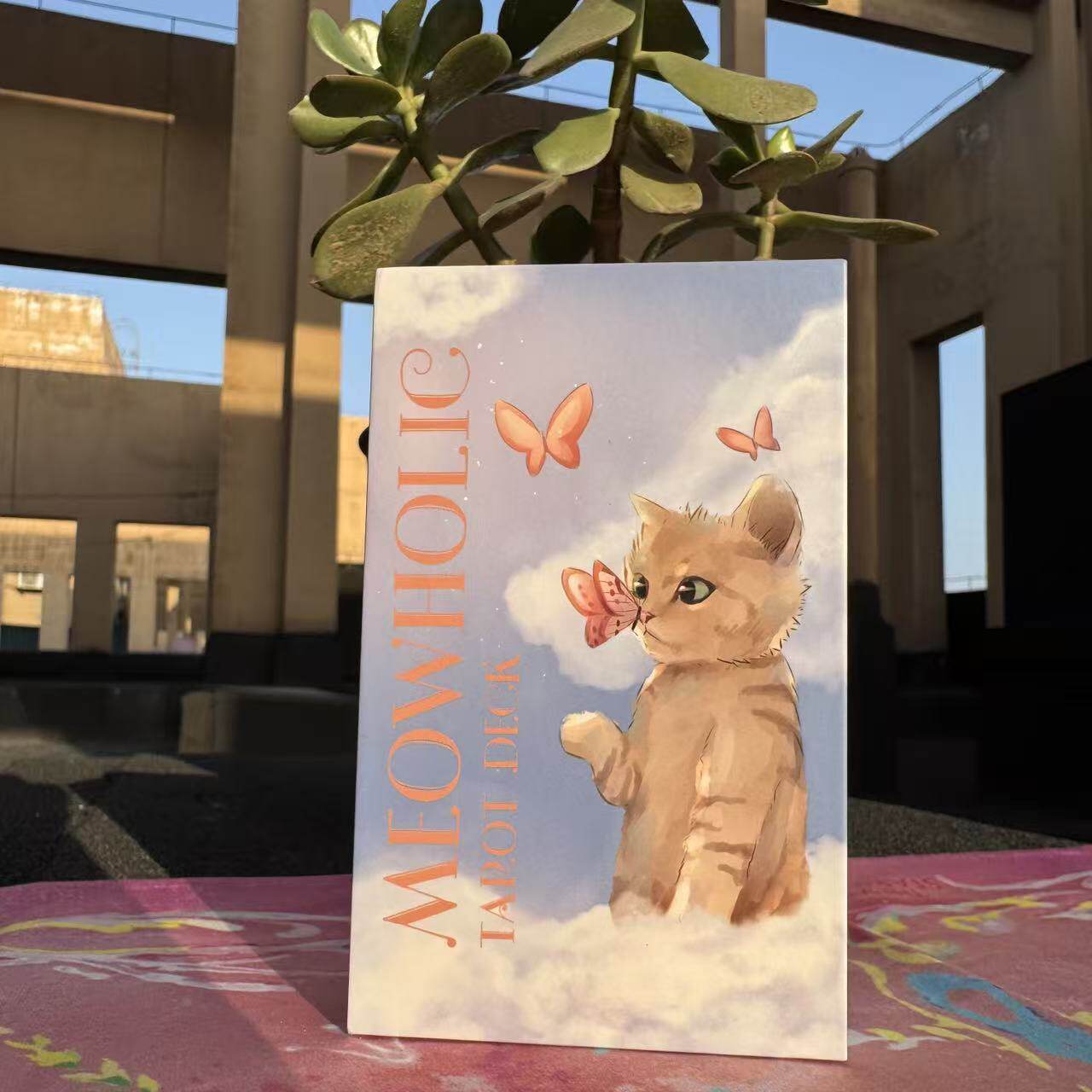 正版猫咪控塔罗牌可爱治愈