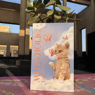 正版猫咪控塔罗牌原创水绘高颜值猫咪可爱tarot桌游卡罗牌