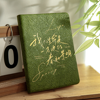 2025年点阵本笔记本ins治愈文案A6日记本旅行手帐烫金高颜值本子