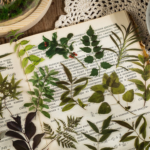 40张花卉植物pet贴纸包复古仿真树叶生活手帐diy素材拼贴画