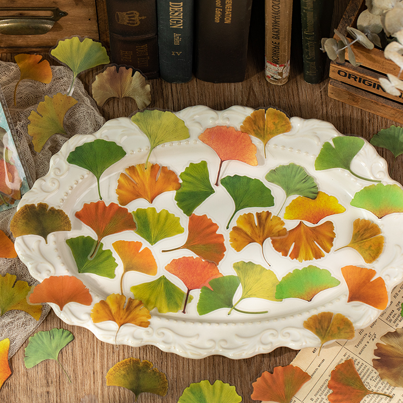 仿真银杏叶pet贴纸包创意叶子枫叶风景植物手帐素材diy打底装饰贴