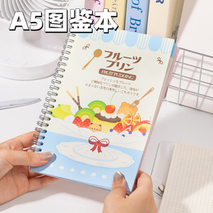 图鉴本A5彩页双面离型本创意手帐工具胶带贴纸收纳手账素材贴画本