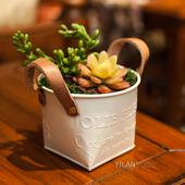 铁艺手工花盆现代大号茶杯铁皮桶 铁皮创意多肉小号简约牛皮花桶