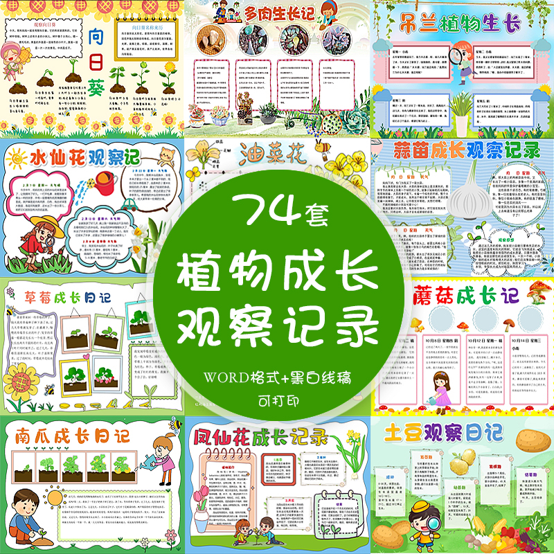 小学生植物生长观察记录手抄报成长日记黑白线稿小报word电子模板