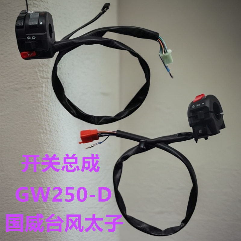 台风太子点火器喜力摩托车大灯喇叭GW250-D机车双闪开关总成配件