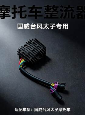 大力神国威GW250-D诺马台风太子稳压器配件喜力400UR摩托车整流器