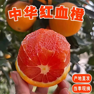 血橙现摘秭归新鲜水果当季红心红肉橙子雪橙宜昌中华红血橙 红橙