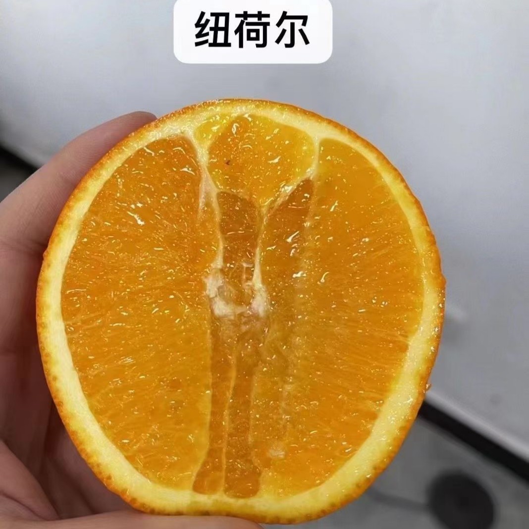 秭归纽荷尔甜橙现摘新鲜水果秭归橙子手剥橙子脐橙礼盒装,水产肉类/新鲜蔬果/熟食,橙,淘宝优惠券,粉丝福利购,淘宝优惠卷